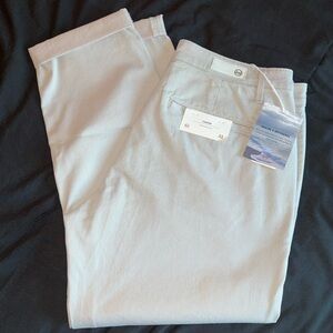 AG Caden style capri pants